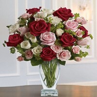 A magnificent display of red, white and pink roses of various sizes abundantly arranged in a couture vase.